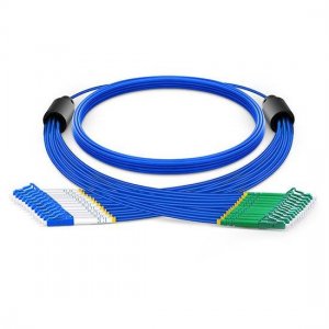 5m LC UPC to LC APC 12 Fibers Singlemode 9/125 Armored Breakout Cable 3.0mm Legs 5m LC UPC to LC APC 12 Fibers Singlemode 9/125 Armored Breakout Cable 3.0mm Legs