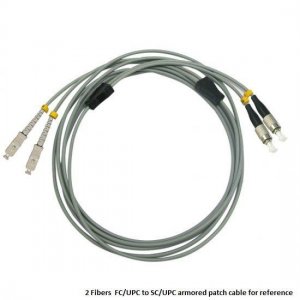Custom E2000 UPC to E2000 UPC 4 Fibers OM1/OM2 Multimode Armored Breakout Cable 3.0mm Legs Custom E2000 UPC to E2000 UPC 4 Fibers OM1/OM2 Multimode Armored Breakout Cable 3.0mm Legs