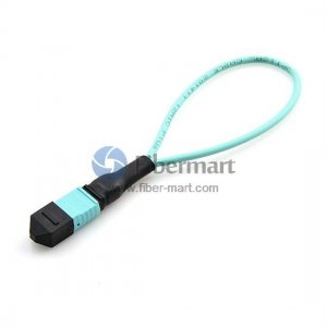 Câble de bouclage femelle OM3 de la fibre OM3 de 40GBASE QSFP MTP/MPO 12 Câble de bouclage femelle OM3 de la fibre OM3 de 40GBASE QSFP MTP/MPO 12