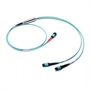 10 M MTP Femelle à 2x MTP Femelle 24 Fibres OM3 Câble de Conversion Multimode, Polarité B, LSZH Bunch 10 M MTP Femelle à 2x MTP Femelle 24 Fibres OM3 Câble de Conversion Multimode, Polarité B, LSZH Bunch