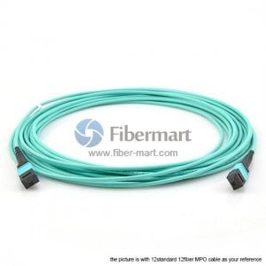 Câble trunk MPO-12 multimode OM4 576 fibres (48 x 12F) Câble trunk MPO-12 multimode OM4 576 fibres (48 x 12F)