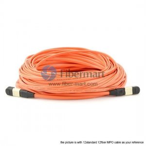 24 Fibers Multimode OM1 24 Strands MTP Trunk Cable 3.0mm LSZH/Riser