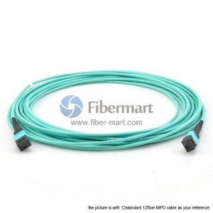 Câble de liaison MPO multimode 48 fibres OM3 12 brins 3,0 mm LSZH/Riser Câble de liaison MPO multimode 48 fibres OM3 12 brins 3,0 mm LSZH/Riser