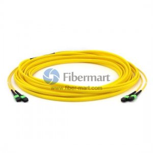 24 fibres monomodes 12 Brins MPO Trunk Câble 3.0mm LSZH / Riser 24 fibres monomodes 12 Brins MPO Trunk Câble 3.0mm LSZH / Riser
