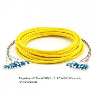 72 fibres LC à LC 9/125 câble de raccordement à fibre multifibre monomode pré-raccordé