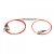 1x2 Polarization Maintaining PM CWDM Filter Single Channel 20nm Spacing 1x2 Polarization Maintaining PM CWDM Filter Single Channel 20nm Spacing