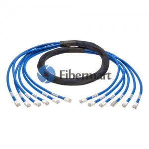 3 m (9,8 pi) 12 fiches à 12 fiches Cat 6 non blindé LSZH préconnectorisé câble de tronc maigre/mince 3 m (9,8 pi) 12 fiches à 12 fiches Cat 6 non blindé LSZH préconnectorisé câble de tronc maigre/mince