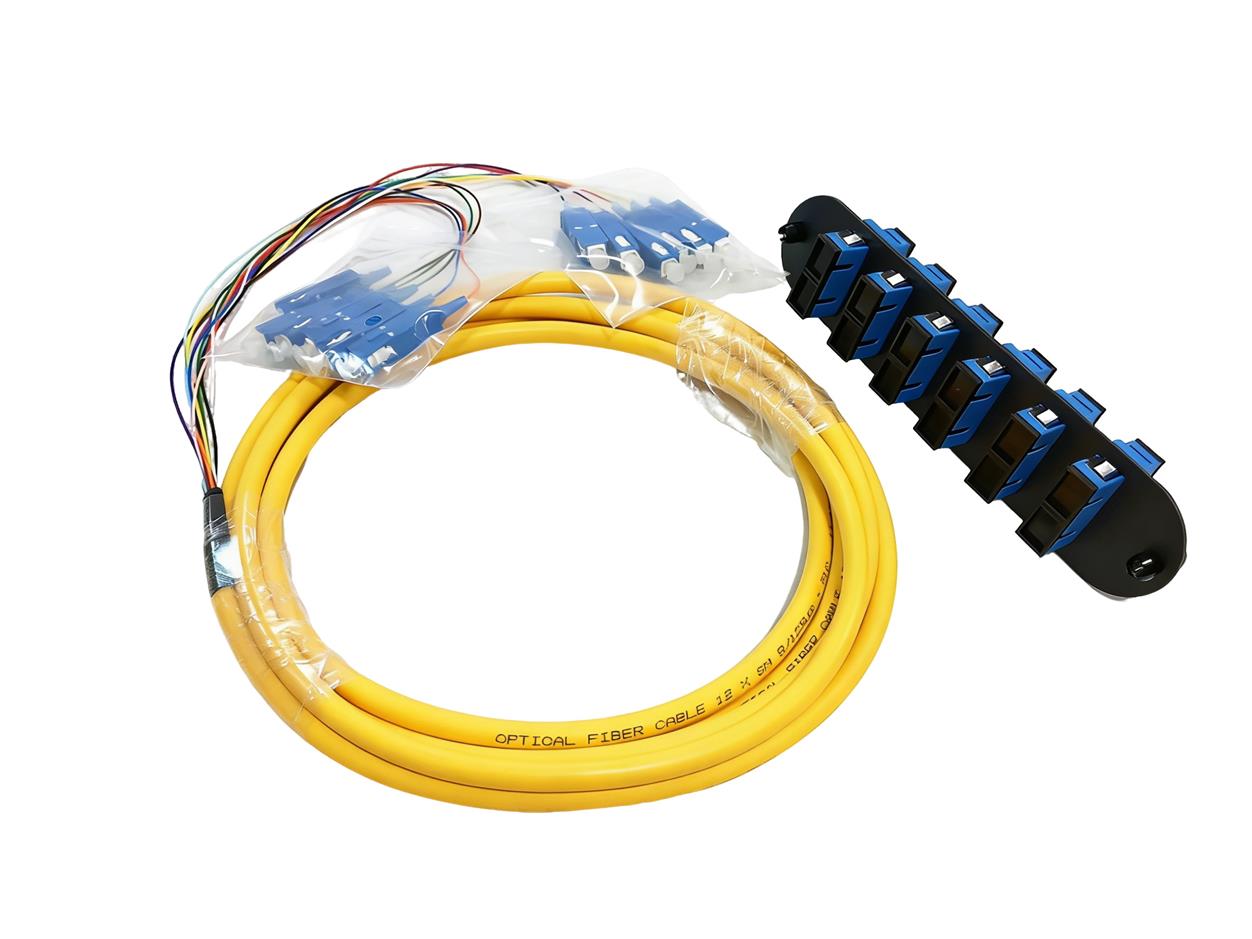 Jarreti&egrave;res &agrave; 12 fibres et panneau de brassage fibre optique