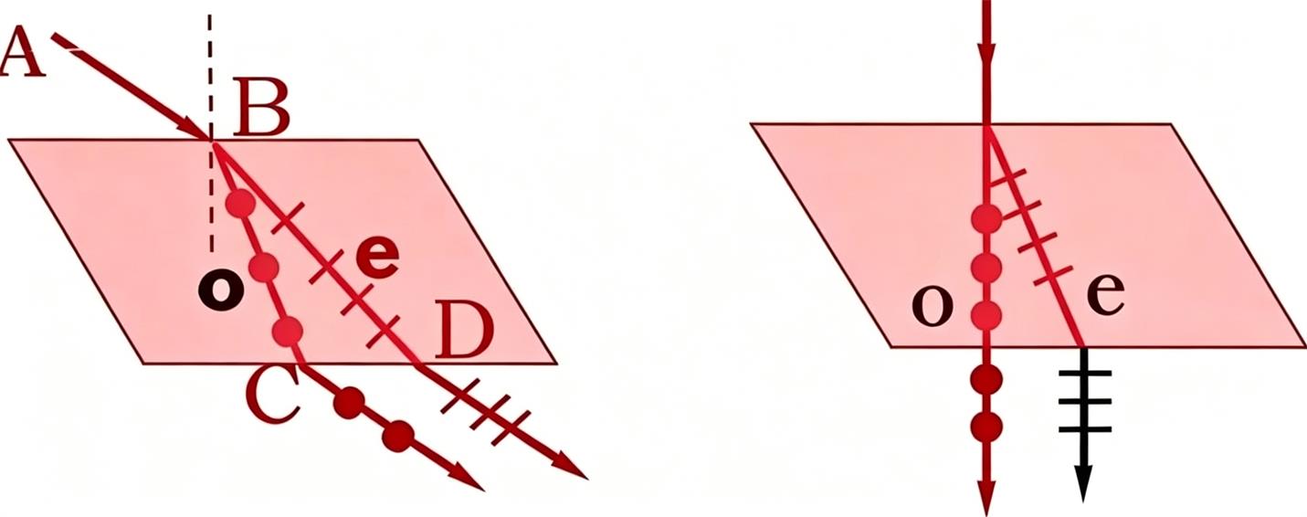 Optical Axis of Crystal and its Dielectric Anisotropy