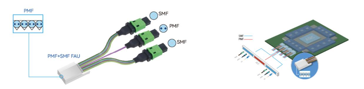 PMF FAU（CPO向け）