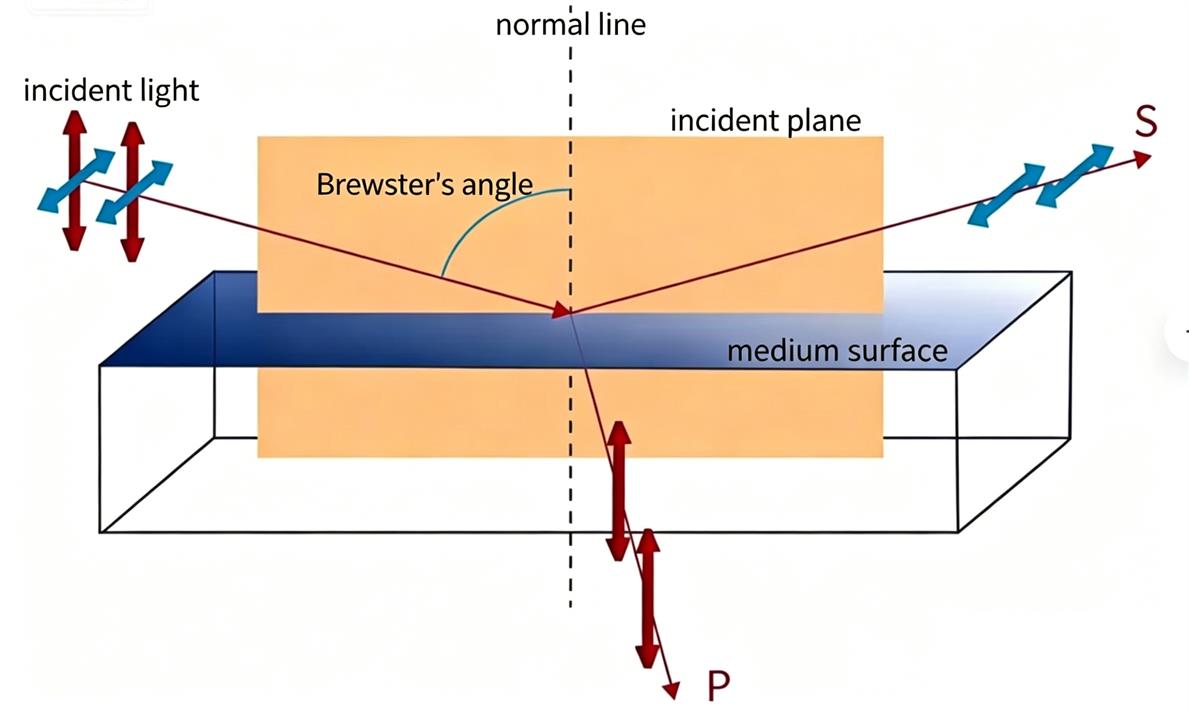 s-Polarization and p-Polarization Interface Coordinate System