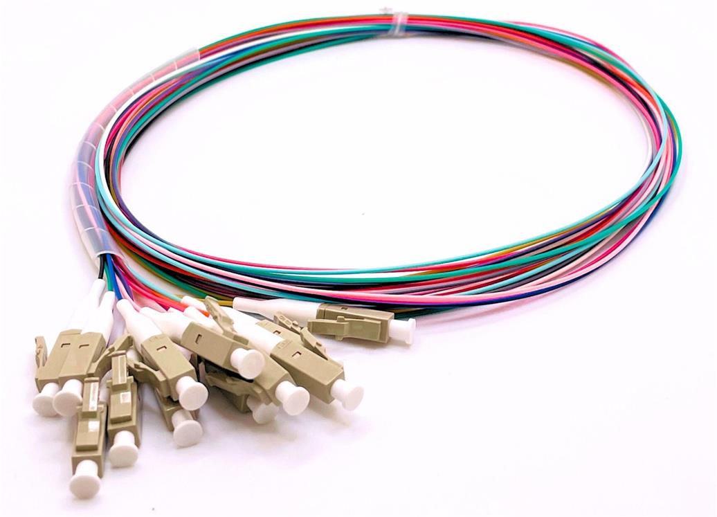 12-Faser-Pigtail 12-Faser-Pigtail