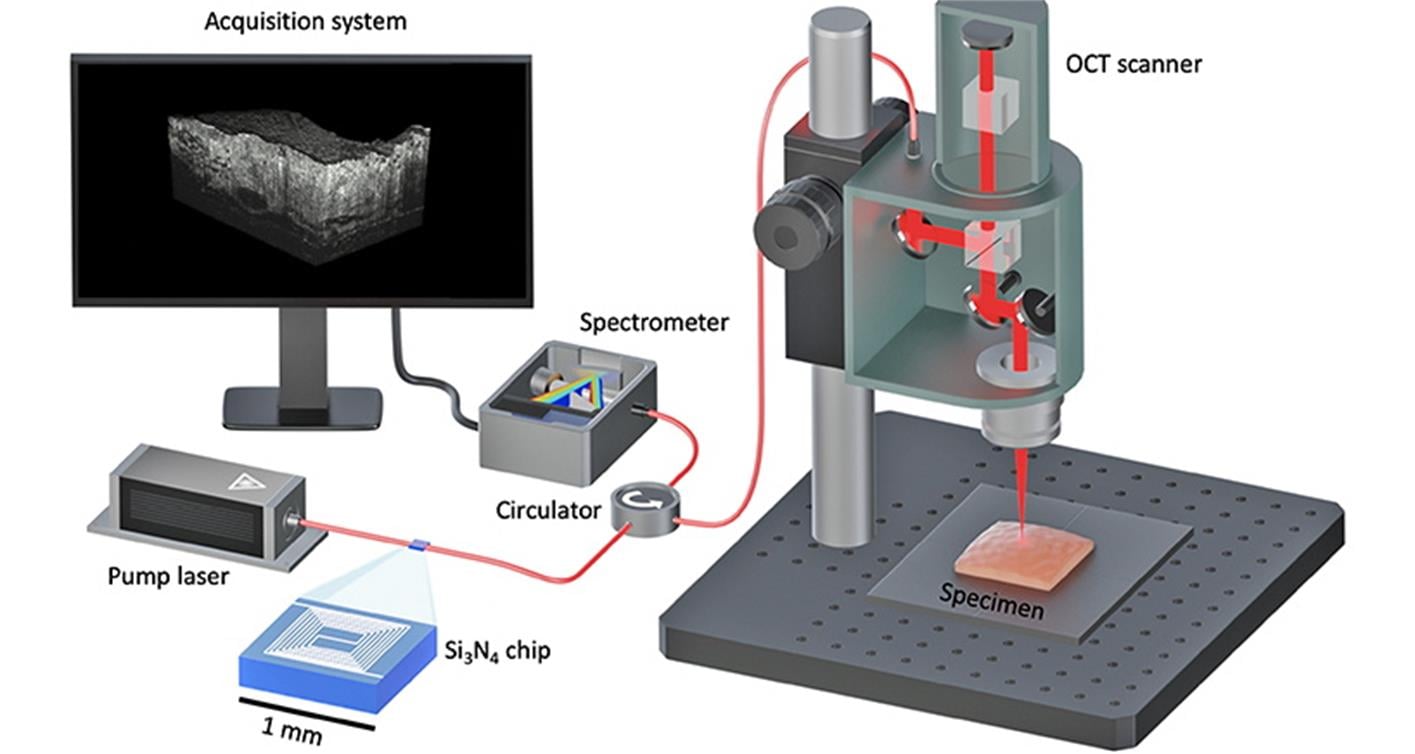 Laser Founded OCT Medical Inspection