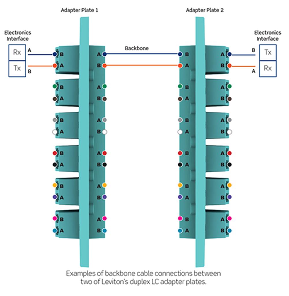 Patch-Plate-Polarity-Manifestation