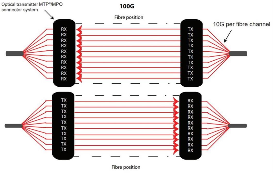 Connecteur MPO pour émetteur optique 100G