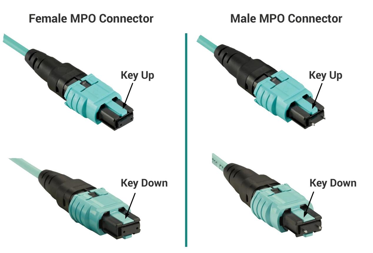MPO-Buchse vs. MPO-Stecker MPO-Buchse vs. MPO-Stecker
