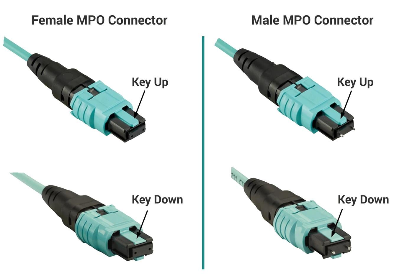 MPO Classification By Connector Style MPO Male vs Female Connector