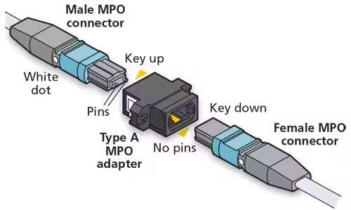 MPO-Stecker auf MPO-Buchse MPO-Stecker auf MPO-Buchse