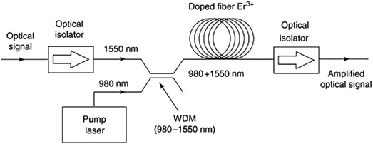 amplified optical signals in optical network