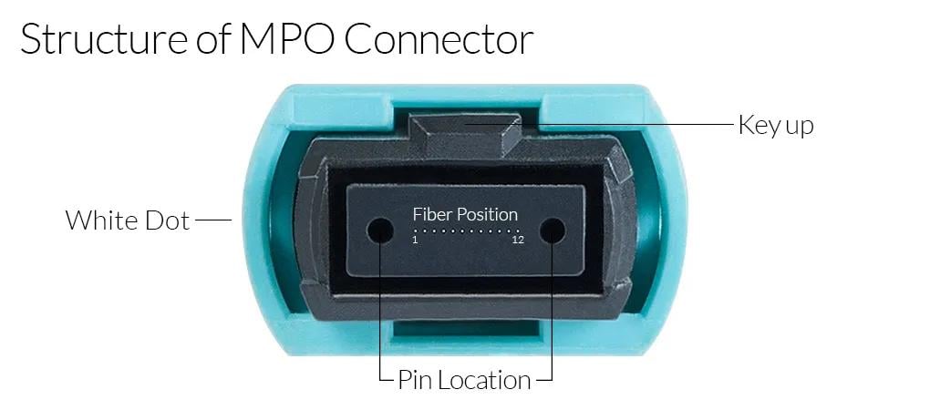structure of mpo connector structure of mpo connector