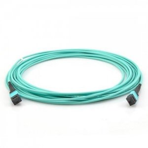 MTP Trunk Cable