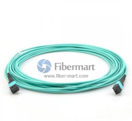 An MTP trunk cable