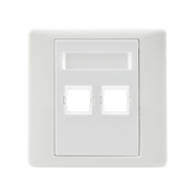 2-Port Duplex LC Fiber Optic Wall Plate Outlet