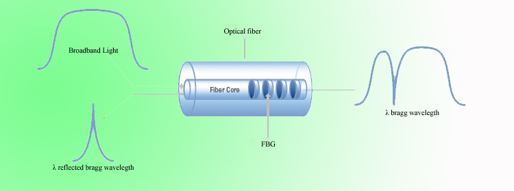 FBG sensor