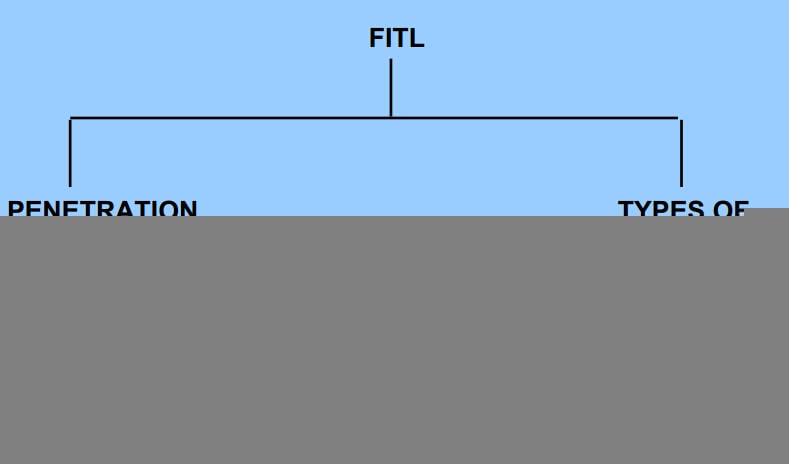 FITL – Fiber In The Loop