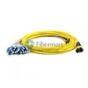 24 Fibers Single-Mode 12 Strands MTP Harness Cable 3.0mm LSZH/Riser