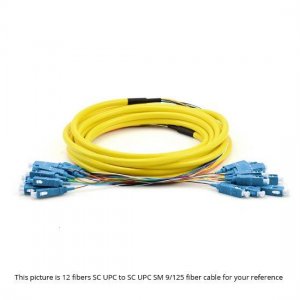 12 Fibers SC to FC 9/125 Single Mode MultiFiber PreTerminated Breakout Trunk Cable 12 Fibers SC to FC 9/125 Single Mode MultiFiber PreTerminated Breakout Trunk Cable