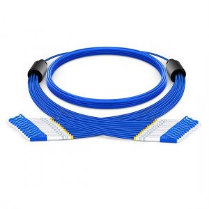 5m LC UPC to LC UPC 12 Fibers Singlemode 9/125 Armored Breakout Cable 3.0mm Legs 5m LC UPC to LC UPC 12 Fibers Singlemode 9/125 Armored Breakout Cable 3.0mm Legs