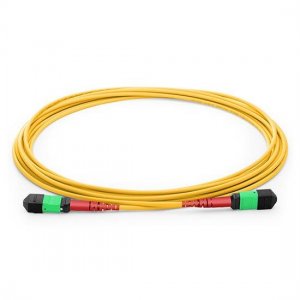カスタマイズされた 48 ファイバー シングルモード 24 ストランド MPO トランク ケーブル 3.0mm LSZH/ライザー カスタマイズされた 48 ファイバー シングルモード 24 ストランド MPO トランク ケーブル 3.0mm LSZH/ライザー