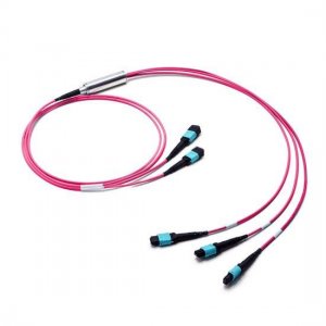 3M 2x MTP Female to 3x MTP Female 24 Fibers OM4 Multimode Conversion Cable, Polarity B, LSZH Bunch