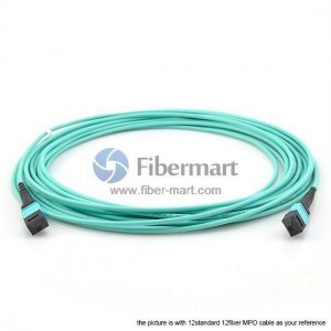 96 Fibers OM3 24 Strands MTP Trunk Cable 3.0mm LSZH/Riser