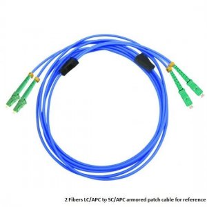 Custom E2000 to E2000 12 Fibers Singlemode 9/125 Armored Breakout Cable 3.0mm Legs Custom E2000 to E2000 12 Fibers Singlemode 9/125 Armored Breakout Cable 3.0mm Legs