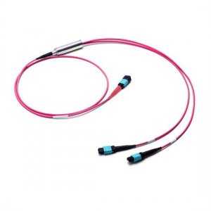 MTP-24 メス - 2x MTP-12 メス OM4 MTP Y スプリッター ケーブル 極性 A LSZH 束 3M MTP-24 メス - 2x MTP-12 メス OM4 MTP Y スプリッター ケーブル 極性 A LSZH 束 3M