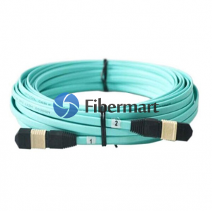 12ファイバーOM3 / OM4 12ストランドフラットMTP-MTPケーブルフラットファイバーLSZH /ライザー 12ファイバーOM3 / OM4 12ストランドフラットMTP-MTPケーブルフラットファイバーLSZH /ライザー