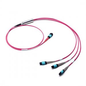 10M MTP メスから 3x MTP メス 24 ファイバー OM4 マルチモード変換ケーブル、極性 B、LSZH 束 10M MTP メスから 3x MTP メス 24 ファイバー OM4 マルチモード変換ケーブル、極性 B、LSZH 束