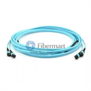 24ファイバー10g OM4 12ストランドMTPトランクケーブル3.0mm LSZH /ライザー 24ファイバー10g OM4 12ストランドMTPトランクケーブル3.0mm LSZH /ライザー