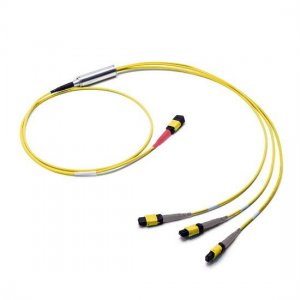 3M MTP Female to 3x MTP Female 24 Fibers OS2 9/125 Single Mode Conversion Cable, Polarity B, LSZH Bunch