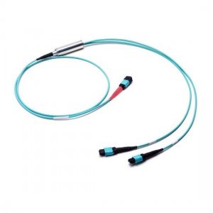 30M MTP Female to 2x MTP Female 24 Fibers OM3 50/125 Multimode Conversion Cable, Polarity B, LSZH Bunch