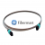 12 Fibers SingleMode 12 Strands Ribbon Flat MPO Pigtail with Ribbon Fiber Cable 12 Fibers SingleMode 12 Strands Ribbon Flat MPO Pigtail with Ribbon Fiber Cable