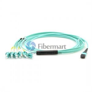 12 섬유 OM3 12 가닥 MPO 하네스 케이블 3.0mm LSZH/Riser 12 섬유 OM3 12 가닥 MPO 하네스 케이블 3.0mm LSZH/Riser