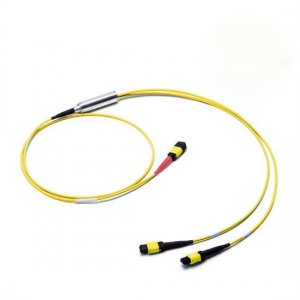 MPO-16 - 2x MPO-8 OS2 싱글모드 MPO 브레이크아웃 케이블 16 파이버, 극성 B, LSZH 묶음, 노란색 MPO-16 - 2x MPO-8 OS2 싱글모드 MPO 브레이크아웃 케이블 16 파이버, 극성 B, LSZH 묶음, 노란색