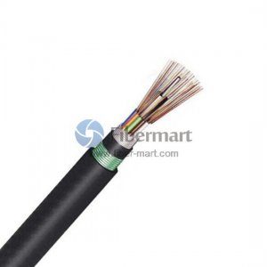 6 Fibers Single-mode Double Armors Double Jackets Flame-retardant Central Loose Tube Cable-GYFTZA53 6 Fibers Single-mode Double Armors Double Jackets Flame-retardant Central Loose Tube Cable-GYFTZA53