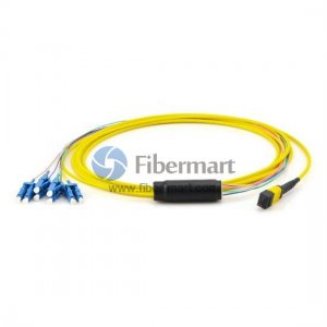 8개 광섬유 단일 모드 12개 가닥 MTP 하네스 케이블 3.0mm LSZH/라이저 8개 광섬유 단일 모드 12개 가닥 MTP 하네스 케이블 3.0mm LSZH/라이저