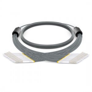 5m LC UPC to LC UPC 12 Fibers Multimode OM1 Armored Breakout Cable 3.0mm Legs 5m LC UPC to LC UPC 12 Fibers Multimode OM1 Armored Breakout Cable 3.0mm Legs