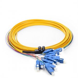1M 12fiber SC/UPC 9/125 Singlemode Ribbon Fanout Fiber Optic Pigtail 0.9mm PVC Jacket 1M 12fiber SC/UPC 9/125 Singlemode Ribbon Fanout Fiber Optic Pigtail 0.9mm PVC Jacket