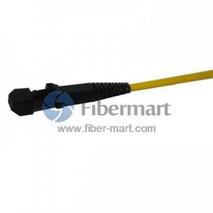 MTRJ Male 2-pin Singlemode Duplex Fiber Optic Pigtail MTRJ Male 2-pin Singlemode Duplex Fiber Optic Pigtail